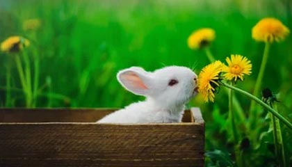 九游游戏中心下载-绝地反击！强队逆转获胜续写冠军争夺历史，绝地反击上演惊天逆转