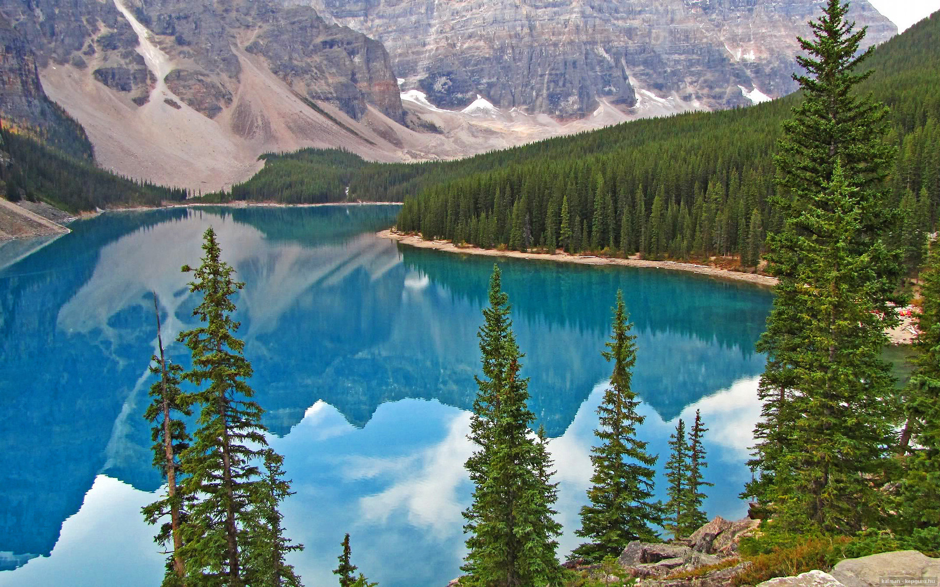 Nine Gaming-马术锦标赛赛事亮点汇总,马术锦标赛视频