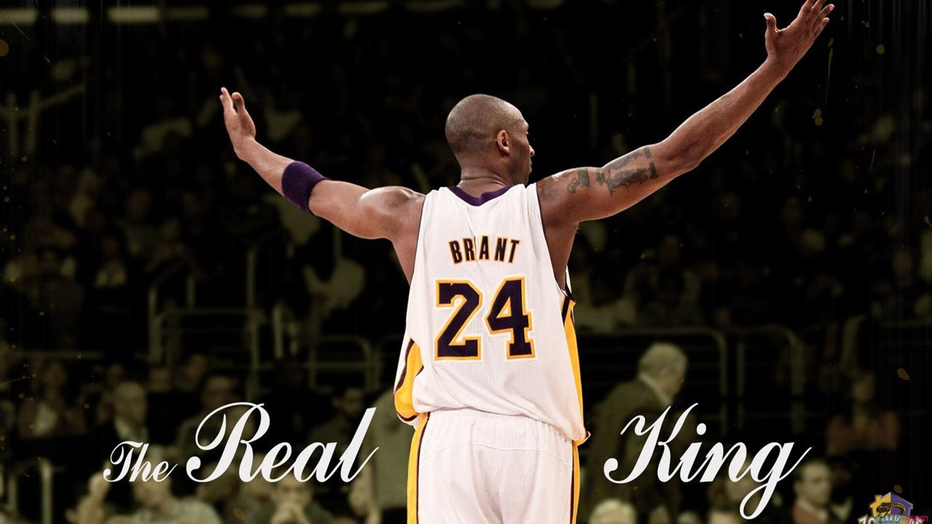 球迷故事:他们在赛场外的精彩人生,故事片球迷